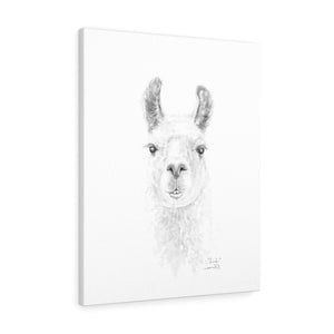 LINH Llama - Art Canvas
