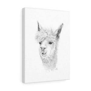 LIAM Llama - Art Canvas