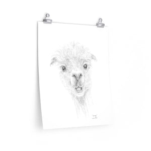 GEORGE Llama- Art Paper Print