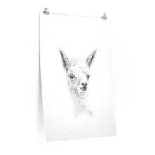 ROSIE Llama- Art Paper Print