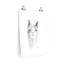 BEVERLY Llama- Art Paper Print