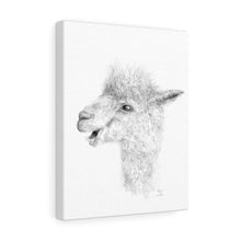 ROBYN Llama - Canvas