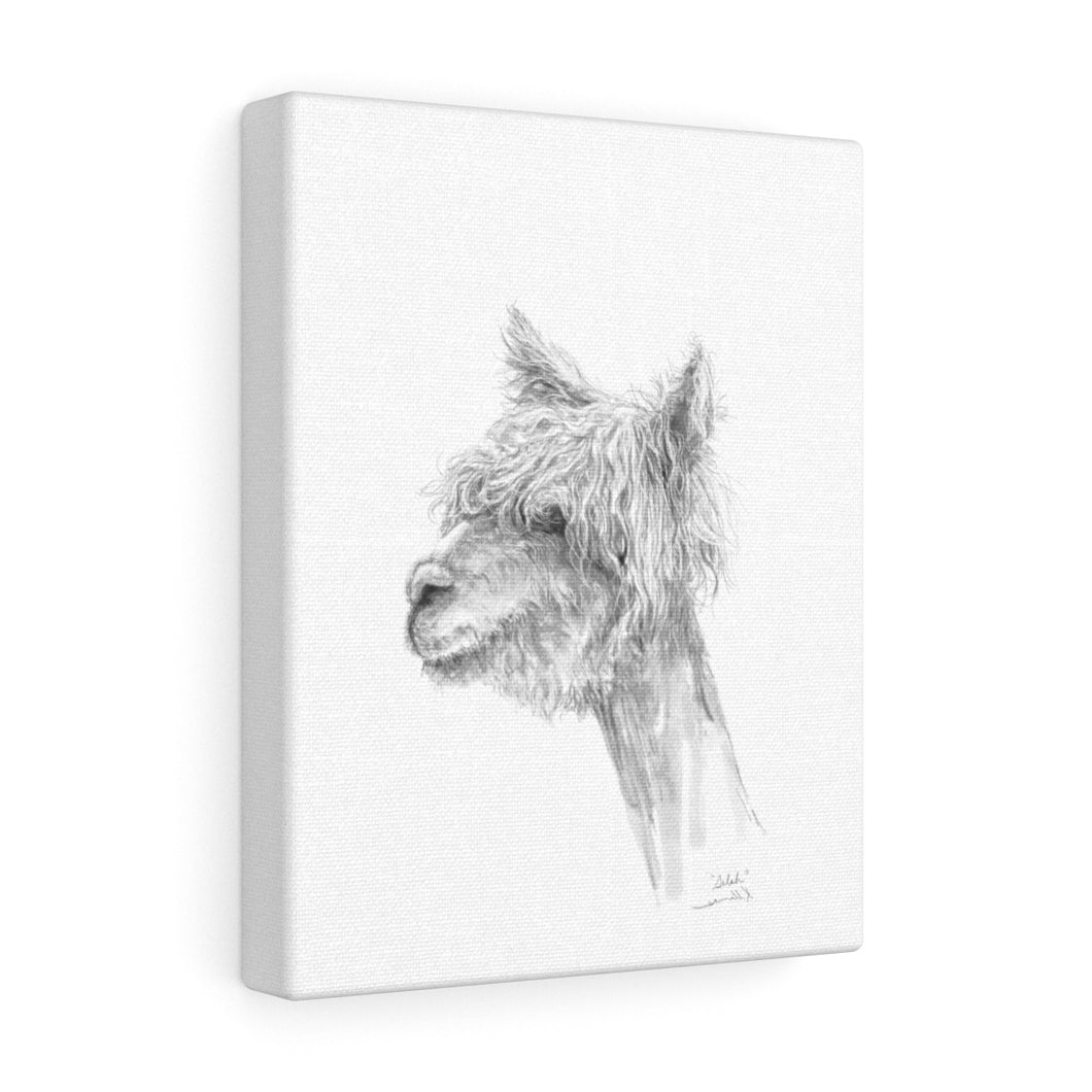 SELAH Llama - Art Canvas
