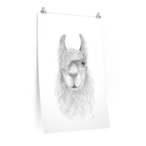 CHRIS Llama- Art Paper Print