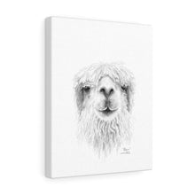 BLAIN Llama - Art Canvas