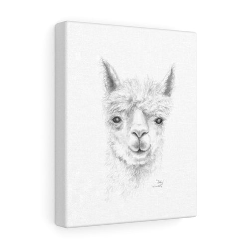 RICKY Llama - Art Canvas