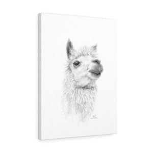 APRIL Llama - Art Canvas
