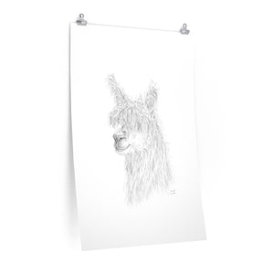 SHONDA Llama- Art Paper Print