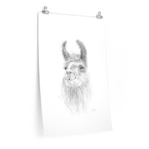 ADELAIDE Llama- Art Paper Print