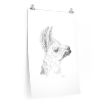 ANNELIESE Llama- Art Paper Print