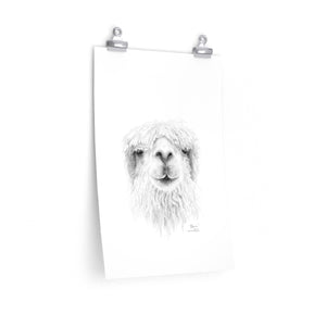 BLAIN Llama- Art Paper Print