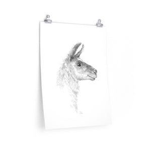 YVONNE Llama- Art Paper Print