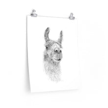 ADREA Llama- Art Paper Print