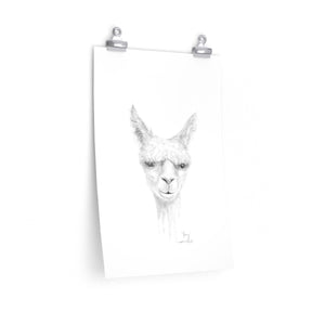 JOEY Llama- Art Paper Print