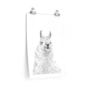 ART Llama- Art Paper Print