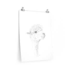 JULIANA Llama- Art Paper Print
