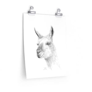 INDI Llama- Art Paper Print