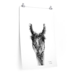 TRILLIAN Llama- Art Paper Print