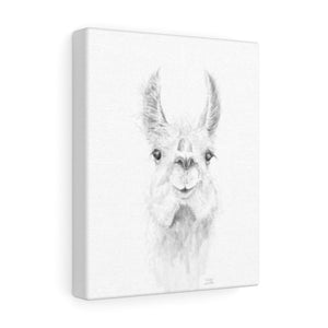 ZAILAH Llama - Art Canvas