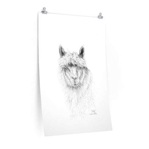 ADDI Llama- Art Paper Print