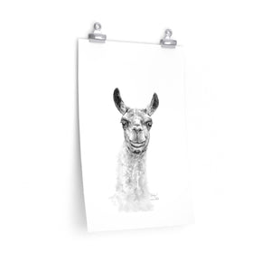 KAILYN Llama- Art Paper Print