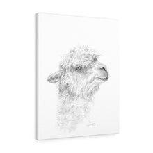 GWEN Llama - Art Canvas