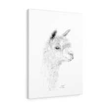 SOPHIE llama- Art Canvas