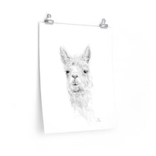 CARI Llama- Art Paper Print