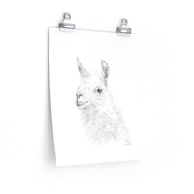 KEVIN Llama- Art Paper Print