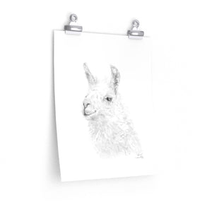 KEVIN Llama- Art Paper Print