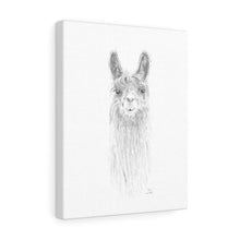 KARI Llama - Art Canvas