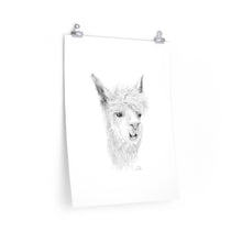 OMAR Llama- Art Paper Print