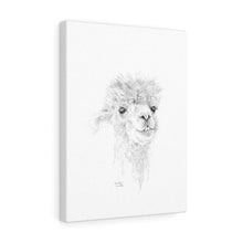 CANDICE Llama - Art Canvas
