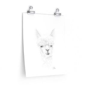 PHOEBE Llama- Art Paper Print