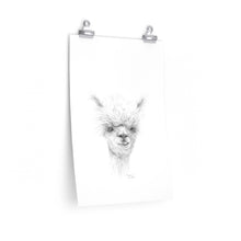 FISCHER Llama- Art Paper Print