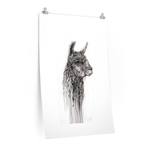 CHARLENE Llama- Art Paper Print