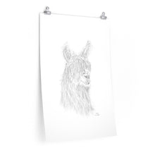 AMBER Llama- Art Paper Print