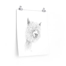 WALTER Llama- Art Paper Print