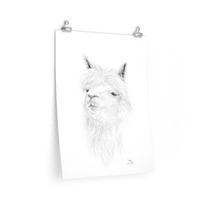 ASHA Llama- Art Paper Print