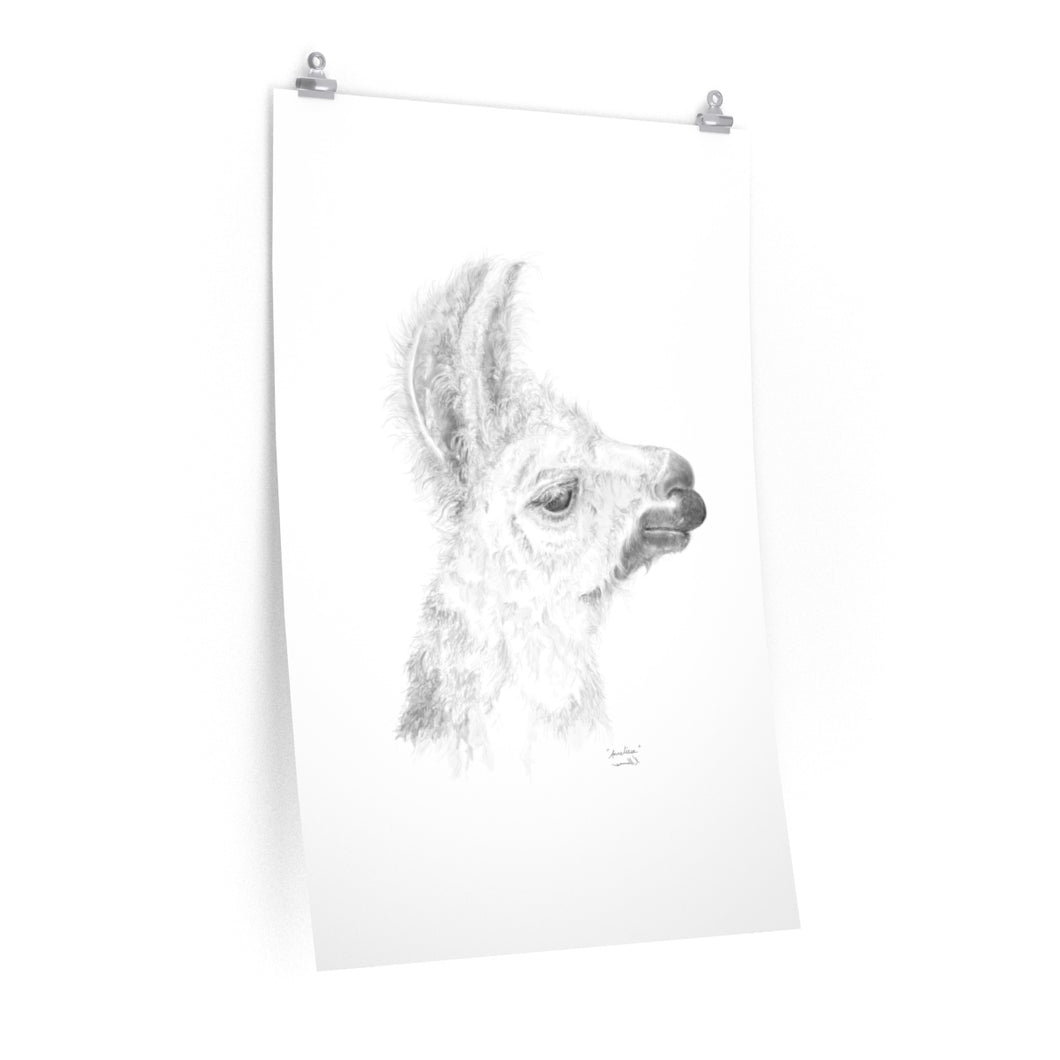 ANNELIESE Llama- Art Paper Print