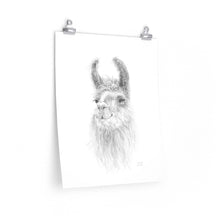 ADELAIDE Llama- Art Paper Print