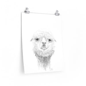 DREW Llama- Art Paper Print