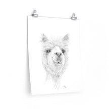 ALLISA Llama- Art Paper Print