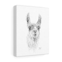 BILLIE-JO Llama - Art Canvas