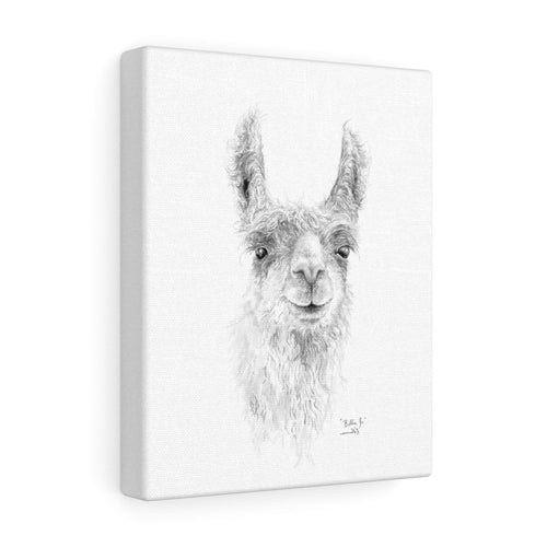 BILLIE-JO Llama - Art Canvas