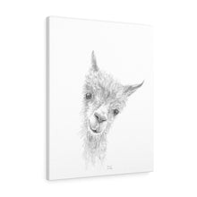 EMMA Llama - Art Canvas