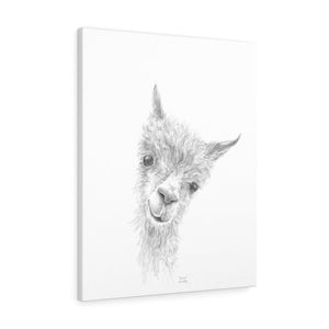 EMMA Llama - Art Canvas
