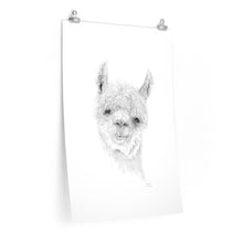 MASON Llama- Art Paper Print