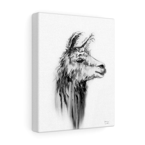 CATHERINE Llama - Art Canvas