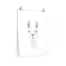 LINH Llama- Art Paper Print